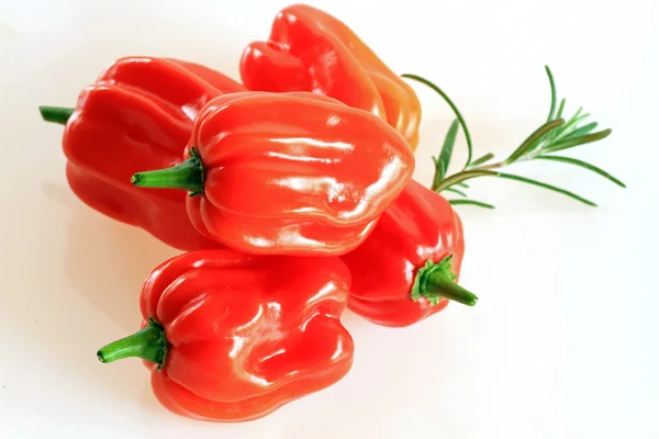 Habanero rouge sur fond blanc avec romarin — Photo