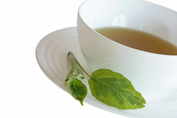 White cup of sage tea — Stock Photo, Image