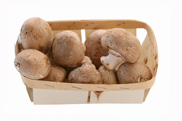 Mushrooms in a wooden basket — Stock Photo, Image