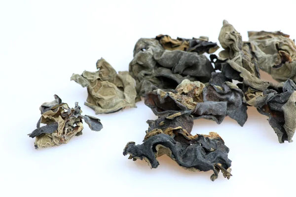 kurutulmuş bulut kulak mantarı