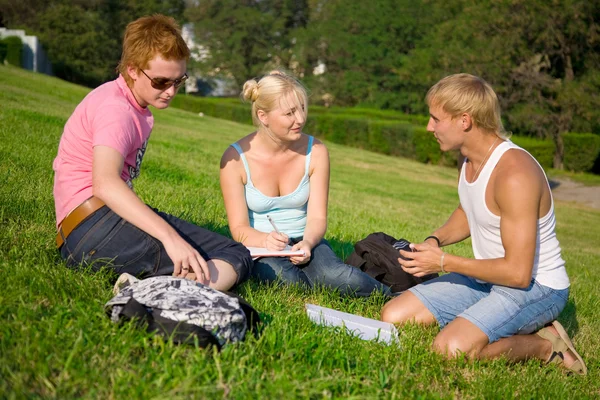 Три студента разговаривают в парке — стоковое фото