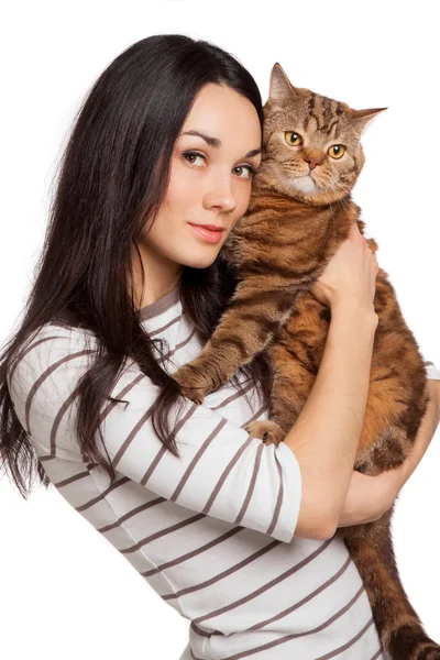 Bela sorridente morena menina e seu gengibre gato sobre branco ba — Fotografia de Stock