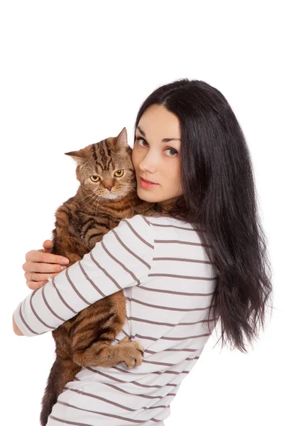 Beautiful smiling brunette girl and her ginger cat over white ba Stock Photo