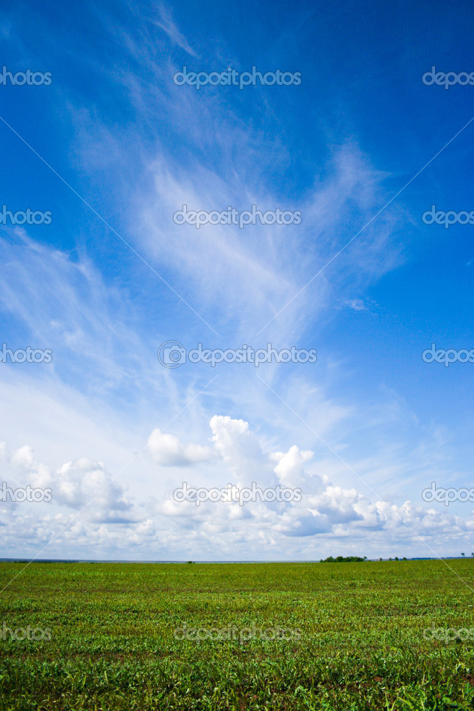 緑の芝生 青い空 白い雲 ストック写真 C Lisiza