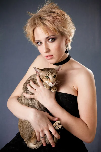 Beautiful young blonde girl in black dress holding cat — Stock Photo, Image