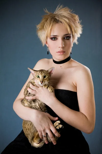 Beautiful young blonde girl in black dress holding cat — Stock Photo, Image