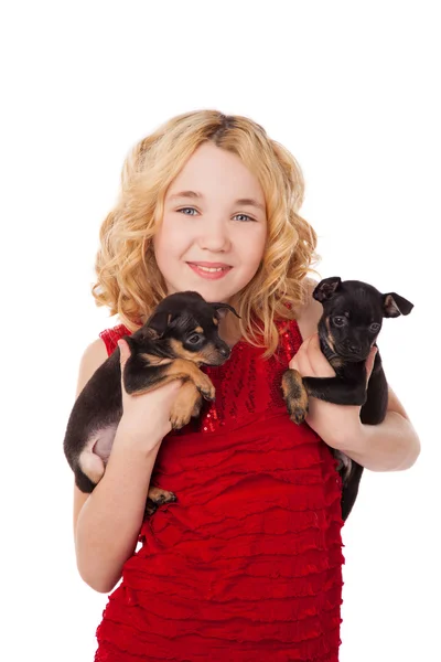 Gadis kecil pirang memegang dua anak anjing mengenakan gaun merah — Stok Foto