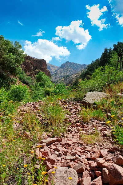 Montañas paisaje — Foto de Stock