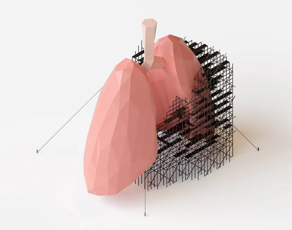 Düşük polyester insan akciğeri onarım konseptinin 3D çizimi — Stok fotoğraf