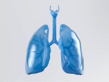 Beyaz arka planda izole edilmiş mavi plastikten yapılmış insan akciğerlerinin 3 boyutlu çizimi