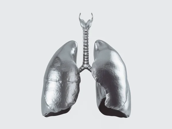 Ilustración Pulmones Humanos Metal Aislado Sobre Fondo Blanco —  Fotos de Stock