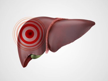 Hastalık ya da acı kavramı olan insan karaciğeri, üzerinde kırmızı acı işareti olan beyaza izole edilmiş. 3d illüstrasyon 