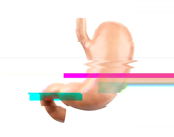 Ilustración Realista Del Modelo Anatómico Del Estómago Humano Con Efecto — Foto de Stock