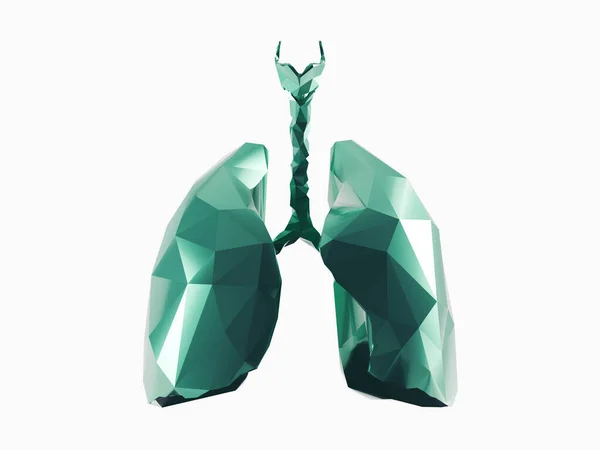 Stylized Human Low Poly Lungs Isolated White High Quality Illustration — Fotografia de Stock