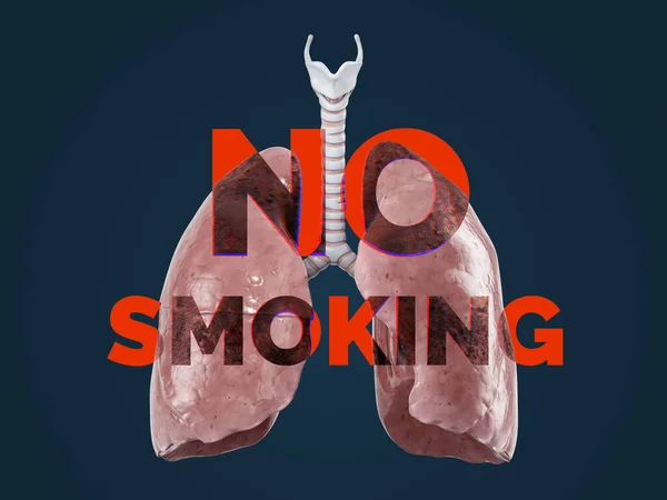 Smoking Graphic Concept Healthy Lungs Smoking Text Reveals Damaged Lungs — Stockfoto