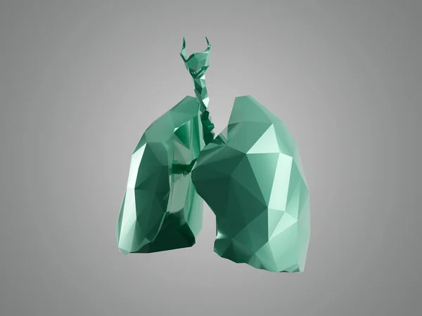 Stylized Human Low Poly Lungs Isolated White High Quality Illustration — ストック写真