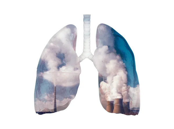 Tütsülenmiş Borularla Akciğerlerin Çevre Kirliliğinin Bir Yansıması Kirli Akciğer Konsepti — Stok fotoğraf