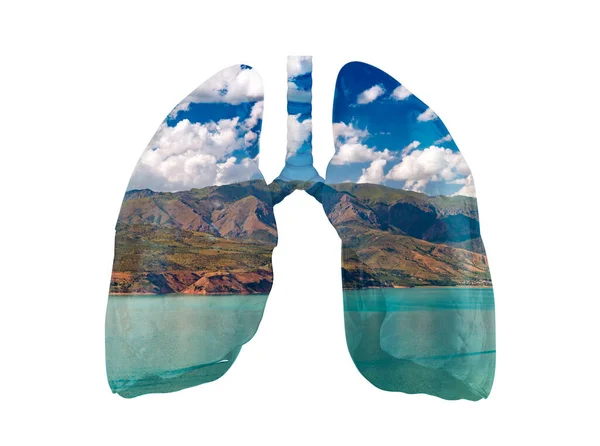 Illustration Lungs Made Nature Landscape Lake Mountains Isolated White Clean — Zdjęcie stockowe