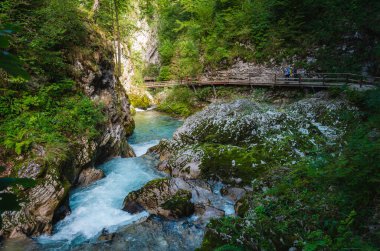 Slovenya 'daki Radovljica Nehri Vintgar Vadisi