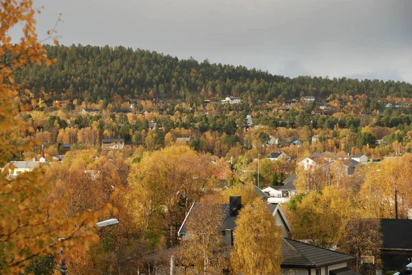 挪威Karasjok村秋天的风景 — 图库照片