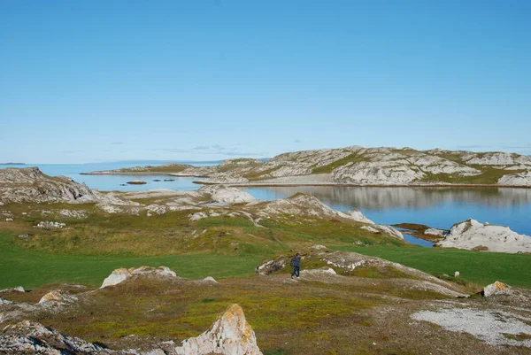 Piękna Dzika Przyroda Wokół Indre Billefjord Drodze Trollholmsund Finnmark Norwegia — Zdjęcie stockowe