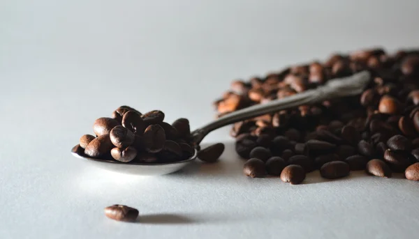 Caffè in grani in un cucchiaio — Foto Stock