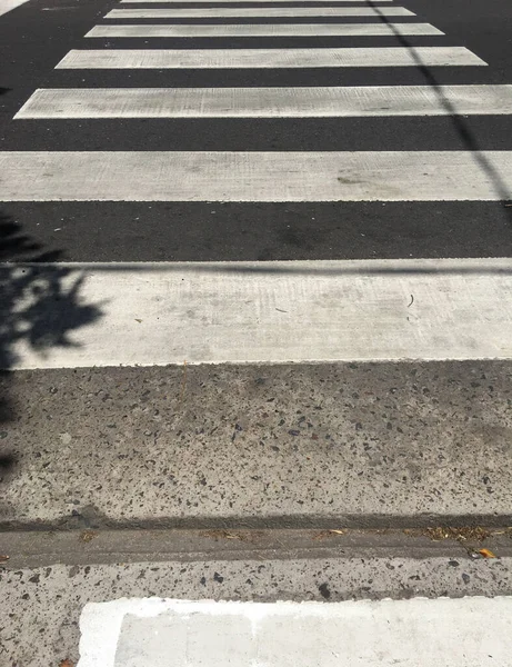 Белые Линии Пешеходной Дорожки Перехода Улицы — стоковое фото