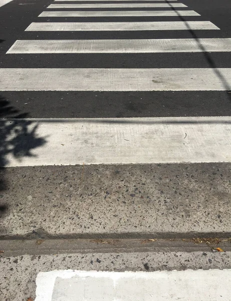 White Lines Pedestrian Path Cross Street — 图库照片