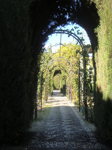 Paisaje Alhambra Granada España —  Fotos de Stock