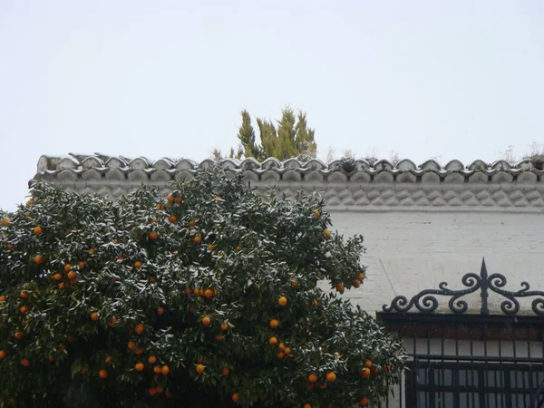 Zasněžené Střechy Granadě Španělsko — Stock fotografie