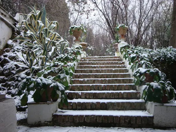 Nieve Sobre Las Escaleras Granada —  Fotos de Stock