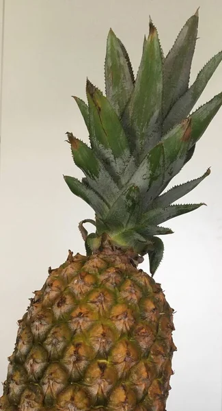 Summer Fruits Closeup Photo Pineapple — Zdjęcie stockowe