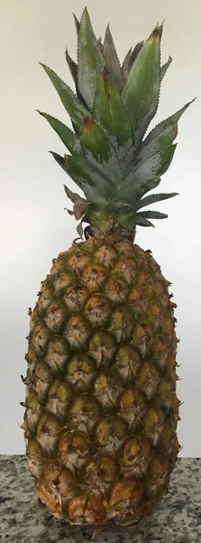 Summer Fruits Closeup Photo Pineapple — Foto Stock