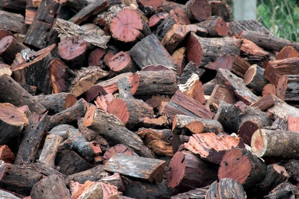 Quebracho Logs Stacked Firewood — Stock Photo, Image