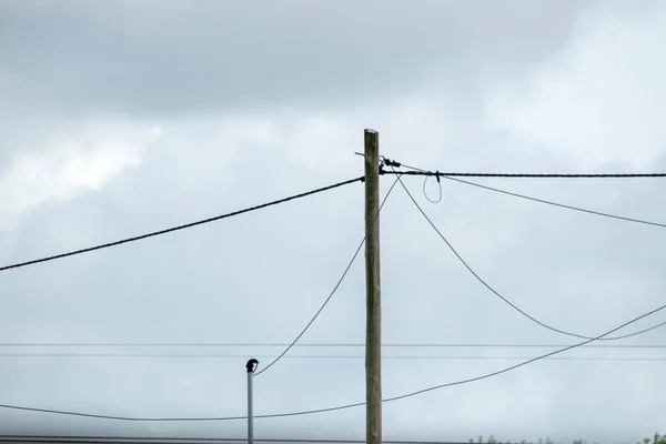 Elektrische Leitungen Einem Bewölkten Himmel — Stockfoto