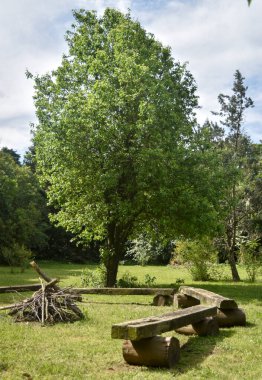 Buenos Aires 'te bir tarlada ateşçi.