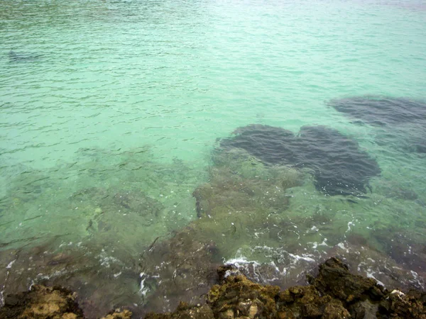 Кристалічна Чиста Вода Пальмі Мальорці Іспанія — стокове фото