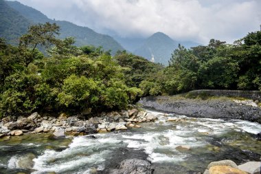 Ekvador 'da nehir kenarının manzarası