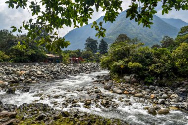 Ekvador 'da nehir kenarının manzarası