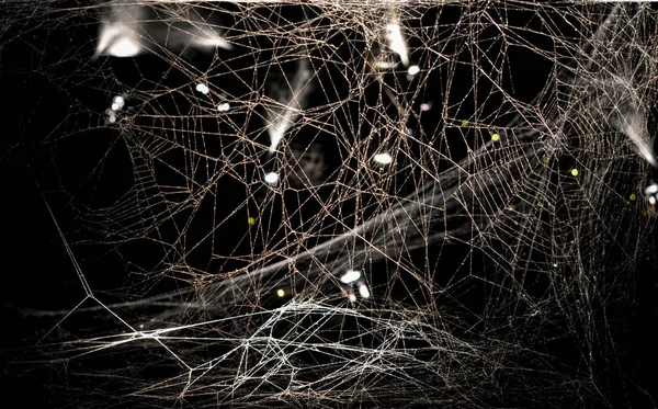 Abstrakte Textur Eines Spinnennetzes lizenzfreie Stockbilder