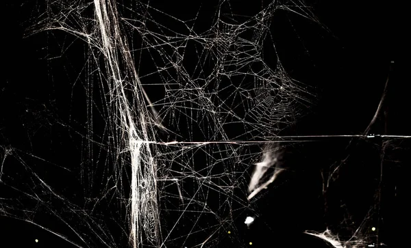 Abstrakte Textur Eines Spinnennetzes lizenzfreie Stockfotos