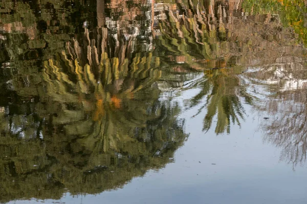 Árvores Refletidas Água Lago — Fotografia de Stock