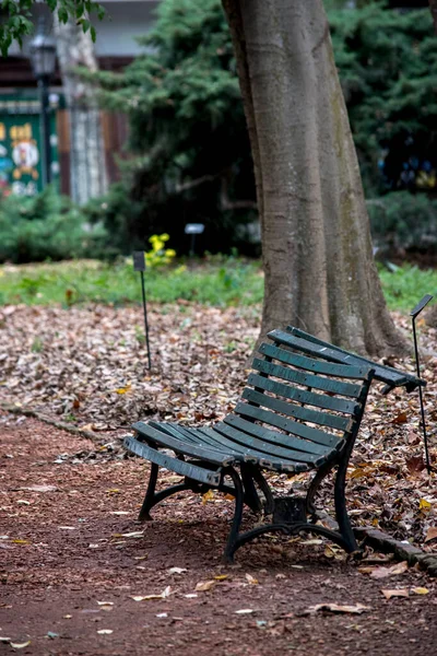 Banc Bois Dans Paysage Automne — Photo