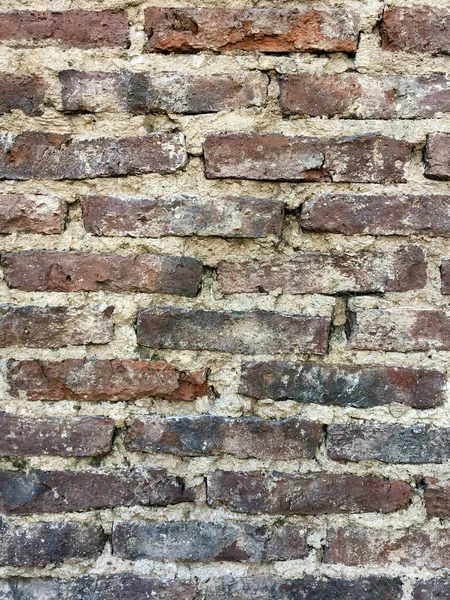 Texture Mur Briques — Photo
