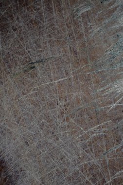 texture of an old ruined wood