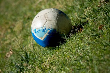 Beyaz ve mavi top çimlerin üzerinde. Futbol mu? Oyun oynayan çocuklar