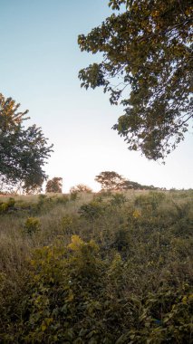 Dağların etrafındaki tarlada güzel doğa manzarası