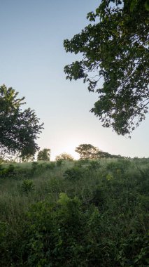 Dağların etrafındaki tarlada güzel doğa manzarası