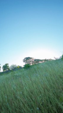 Dağların etrafındaki kırsal alanda güzel doğa.