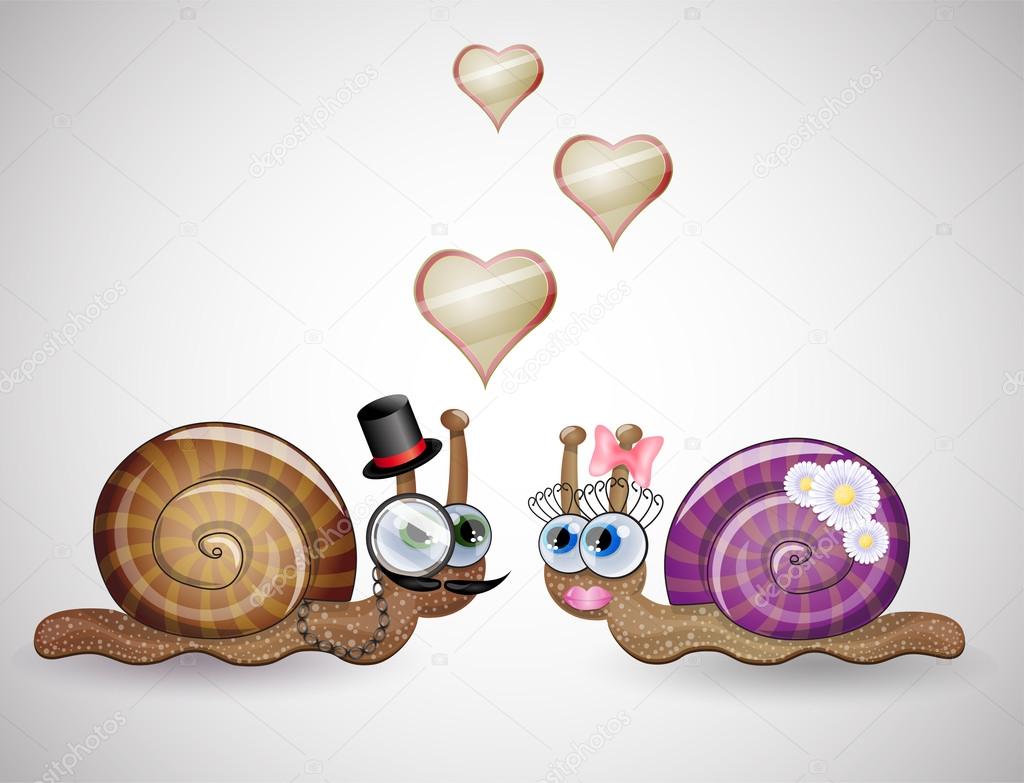 Isolated funny female and male snails.